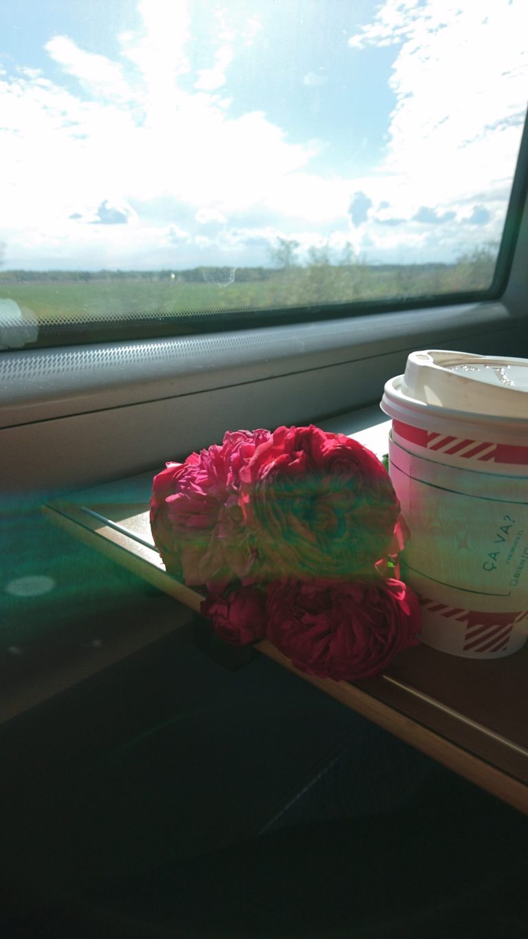 Begegnung mit dem Tanzensemble Artrose e.V.
